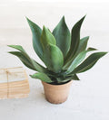 Artificial Agave In a Faux Terracotta Pot