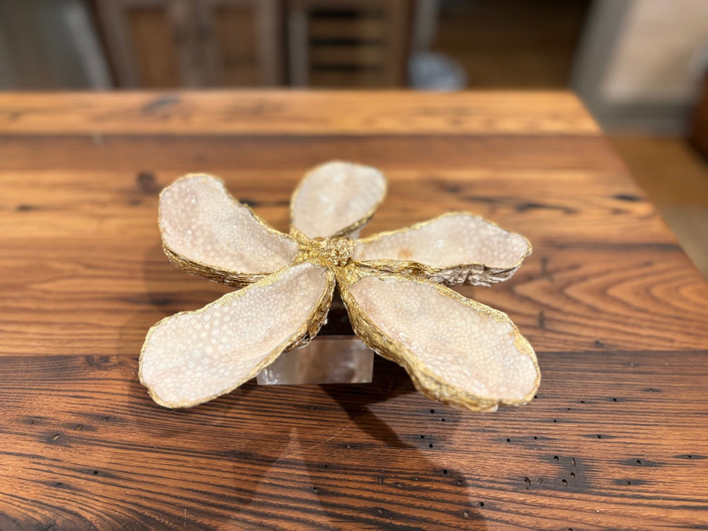 Oyster Magnolia Accessory