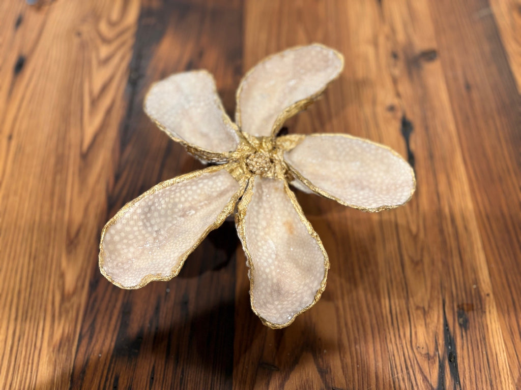 Oyster Magnolia Accessory