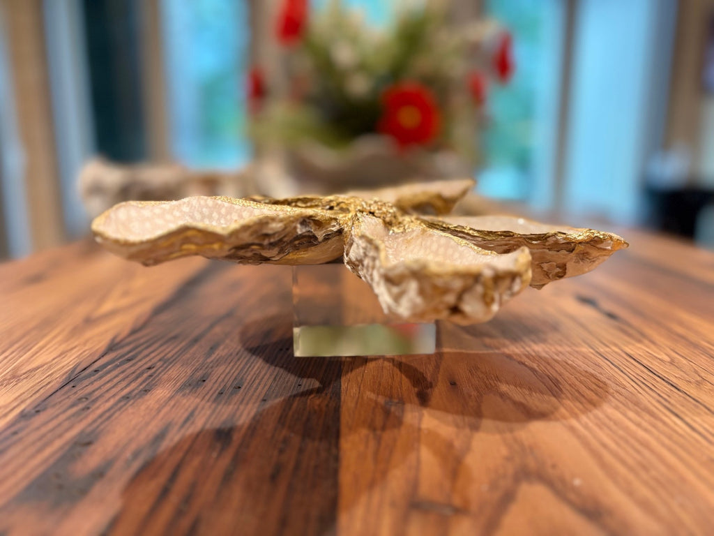 Oyster Magnolia Accessory