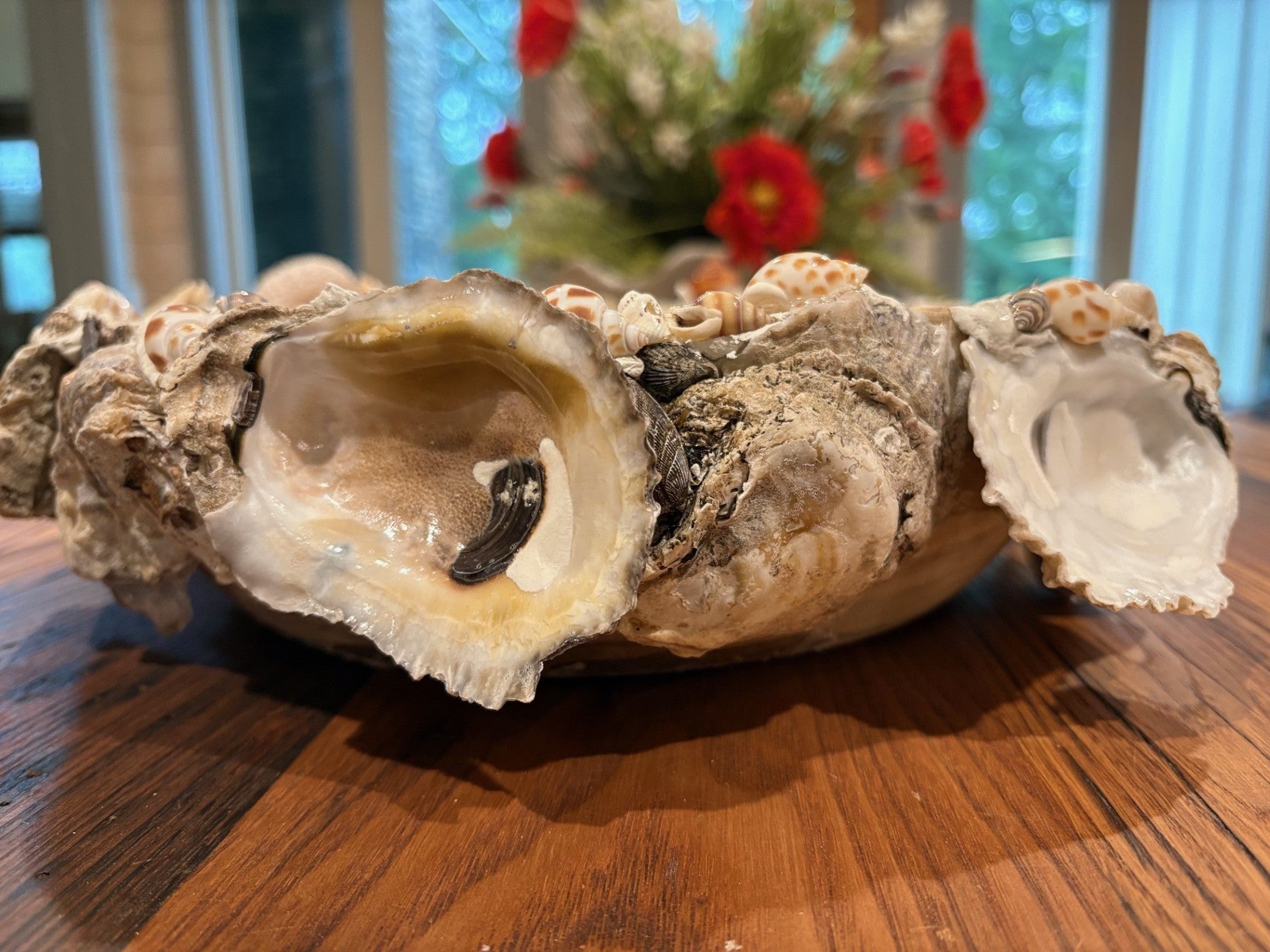 Large Oyster and Seashell Paulonia Dough Bowl