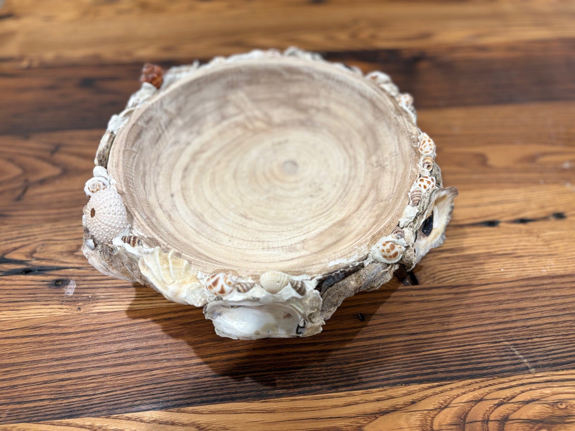 Large Oyster and Seashell Paulonia Dough Bowl