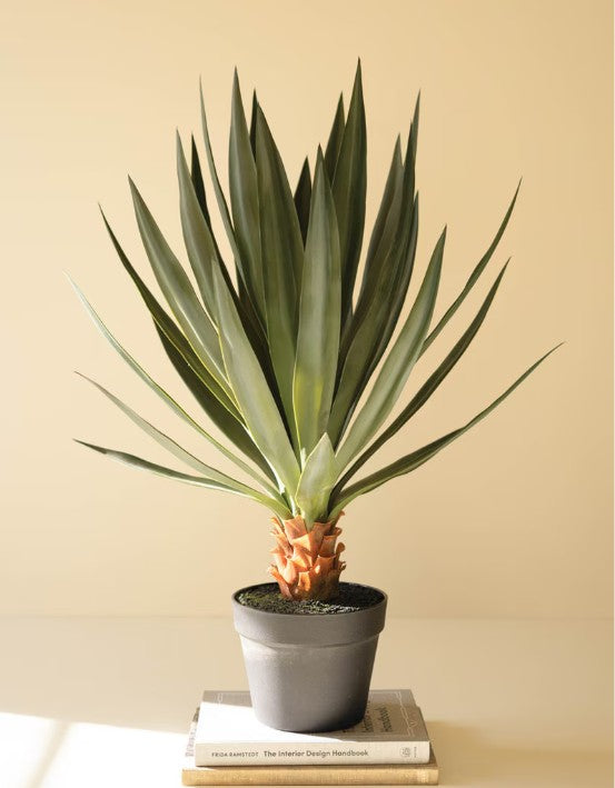 Artificial Sisal Plant in Black Plastic Pot