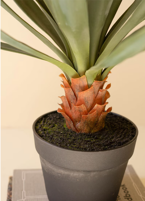 Artificial Sisal Plant in Black Plastic Pot