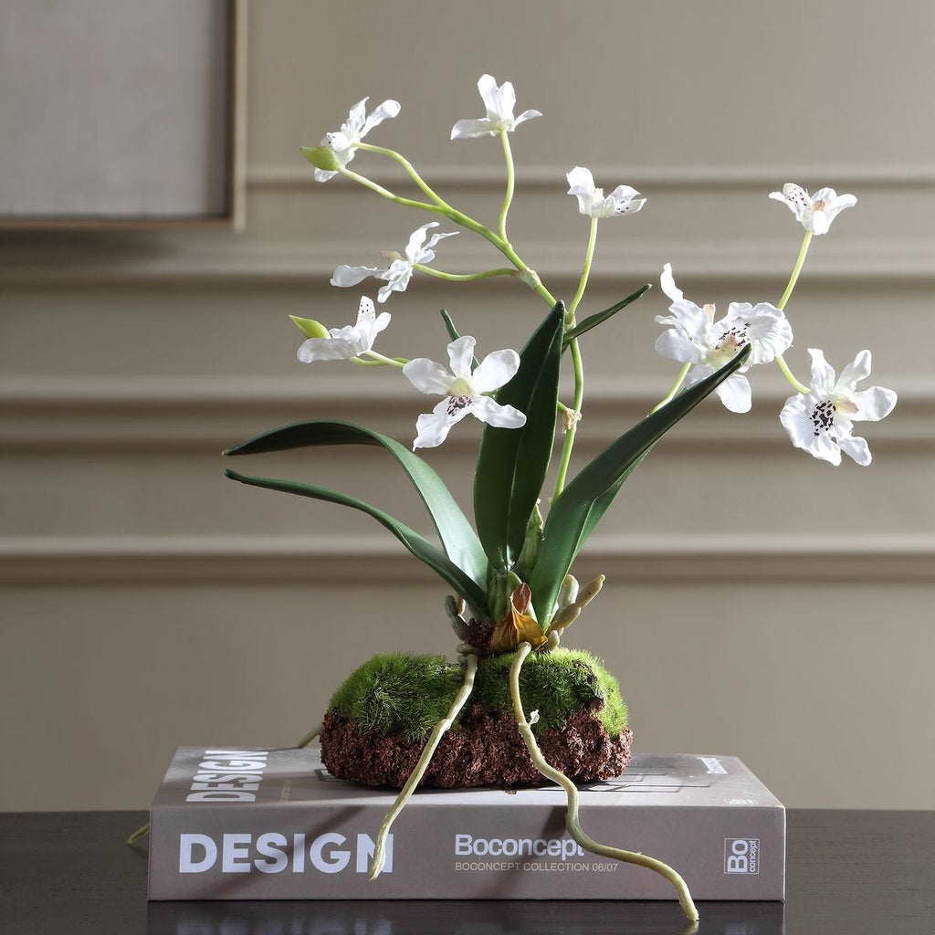 White Orchid Drop in