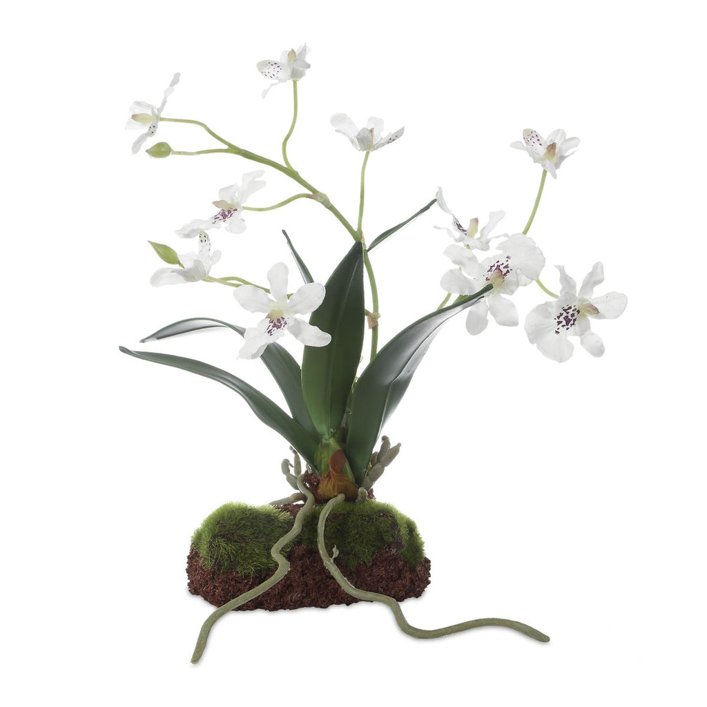 White Orchid Drop in