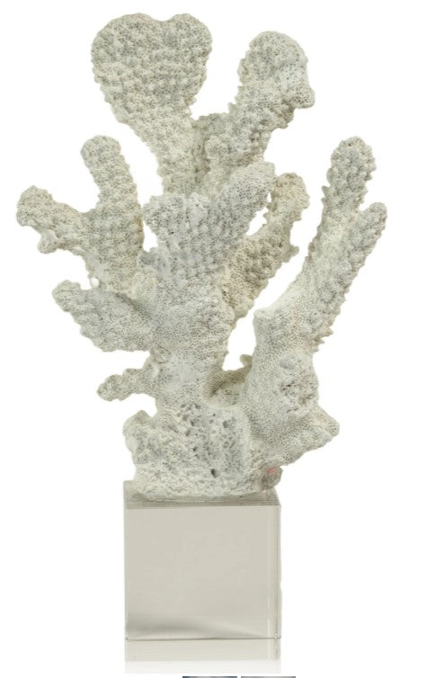 Set of two- White Coral on Acrylic Base - Design A