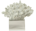 Set of two- White Coral on Acrylic Base - Design B