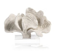 White Coron Coral on Acrylic Base