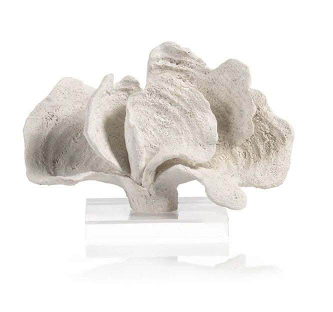 White Coron Coral on Acrylic Base